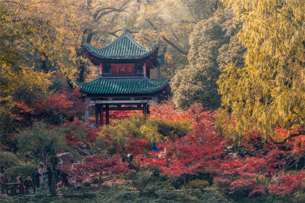 長沙薪酬咨詢公司如何設(shè)計合理的薪酬結(jié)構(gòu)與體系？