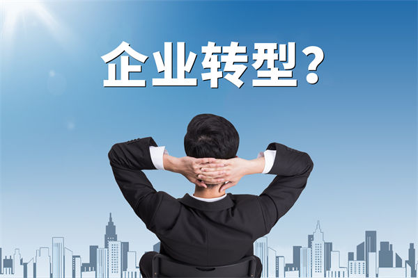 企業(yè)轉(zhuǎn)型無方向，數(shù)智化咨詢公司能否指引明路？