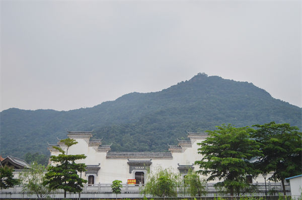 子公司各自為戰(zhàn)內(nèi)耗大，佛山集團(tuán)管控咨詢公司有何整合之道？