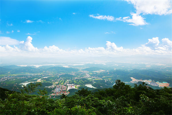 企業(yè)戰(zhàn)略飄在半空落地難，惠州戰(zhàn)略咨詢(xún)公司能錨定方向嗎？