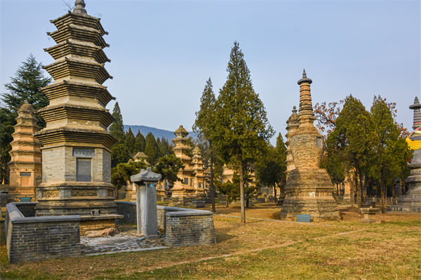 鄭州管理咨詢選不對(duì)，企業(yè)戰(zhàn)略落地的堵點(diǎn)何時(shí)能打通？