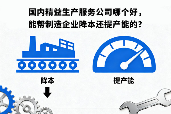 國內(nèi)精益生產(chǎn)服務(wù)公司哪個好，能幫制造企業(yè)降本還提產(chǎn)能的？