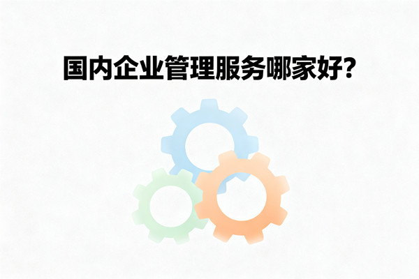 國(guó)內(nèi)企業(yè)管理服務(wù)哪家好？